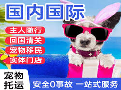 阳江合山机场邮寄国际宠物托运 【国